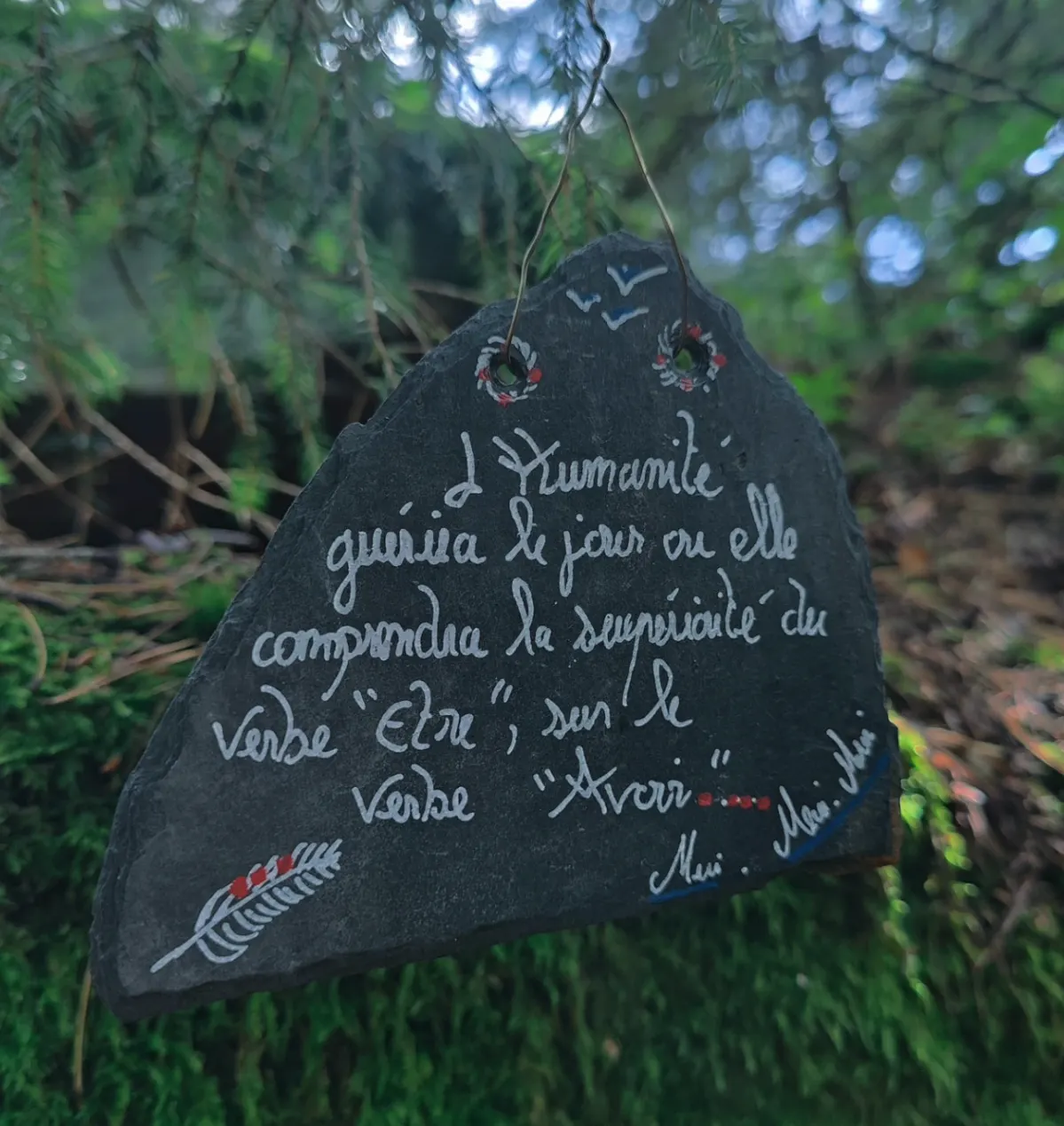 Citation peinte sur une pierre suspendue dans la forêt