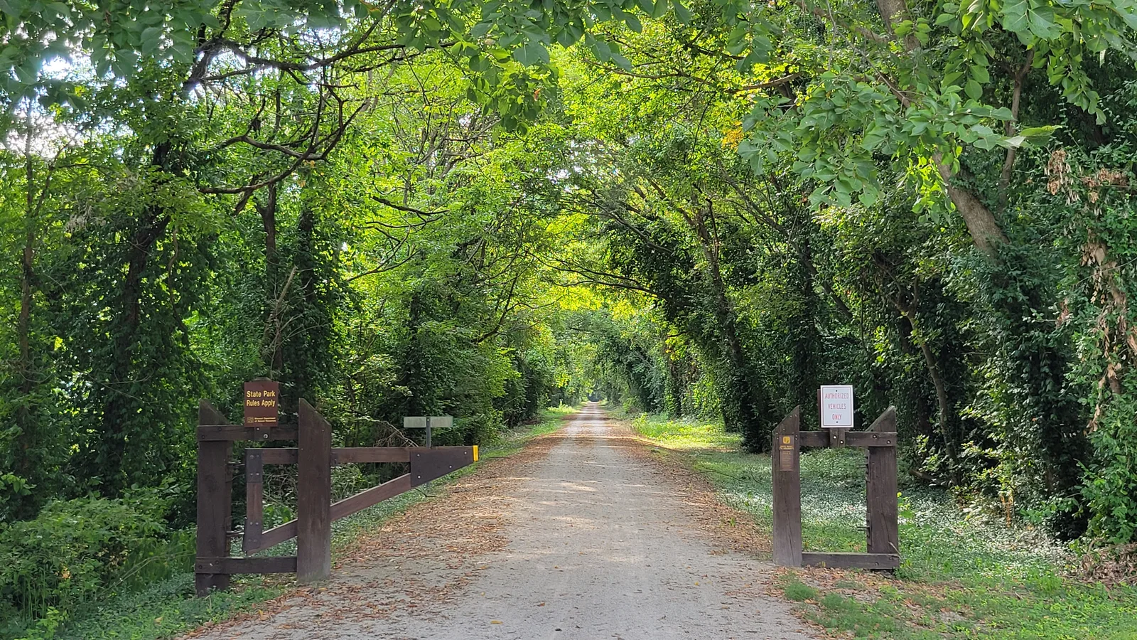 Katy Trail in Augusta, Missouri, on a section followed by the American Discovery Trail.