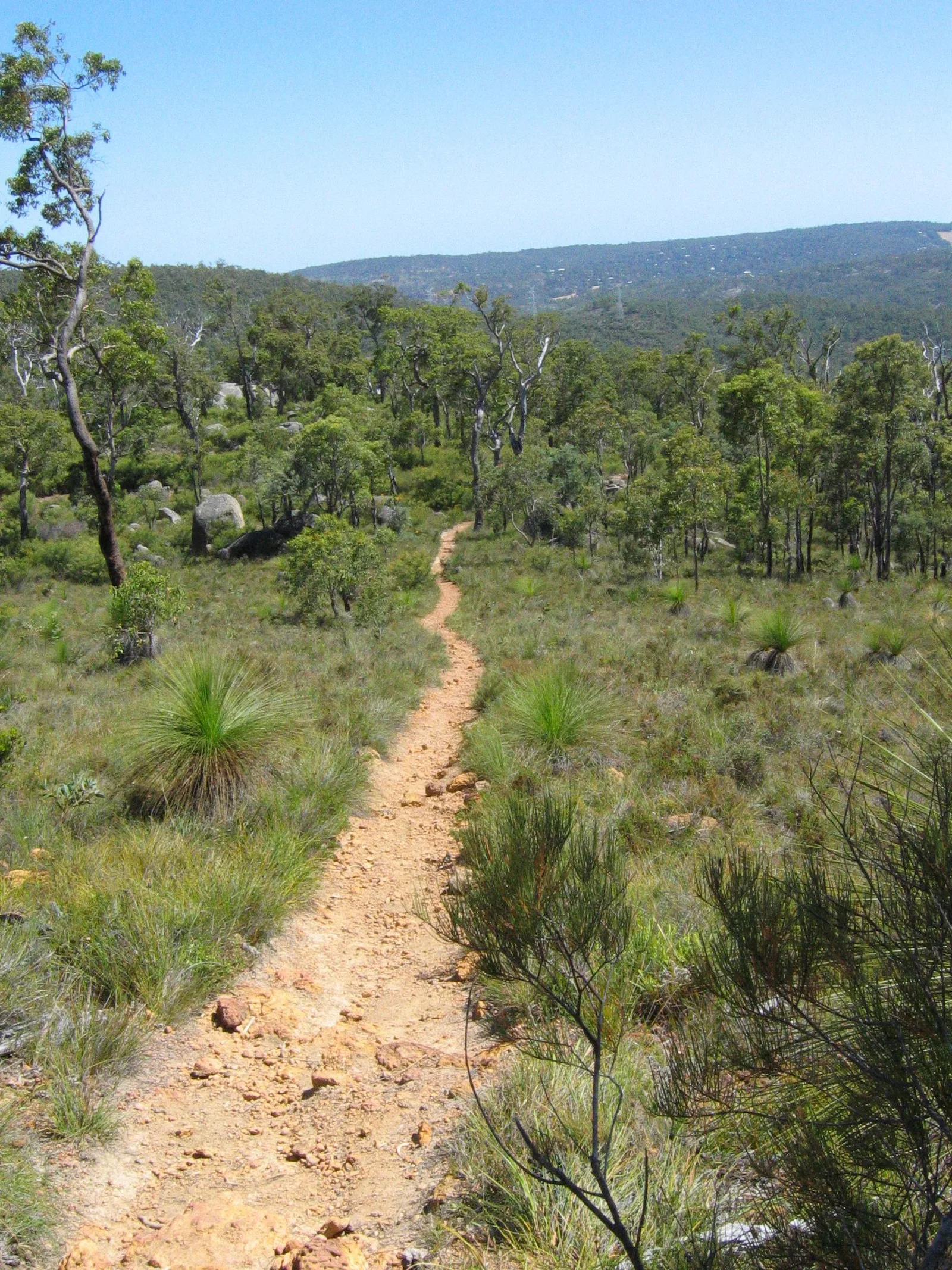 Bibbulmun Track footpath through bushland near Kalamunda