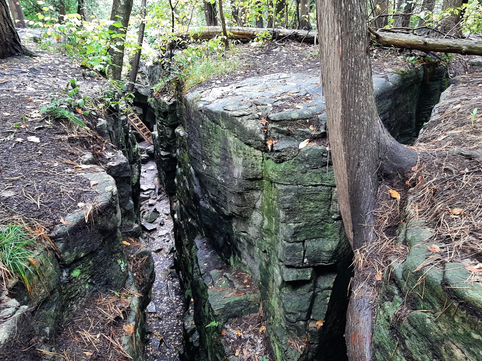 Grieta rocosa y escalera de Hole in the Wall, en el sector de Limehouse del Bruce Trail.