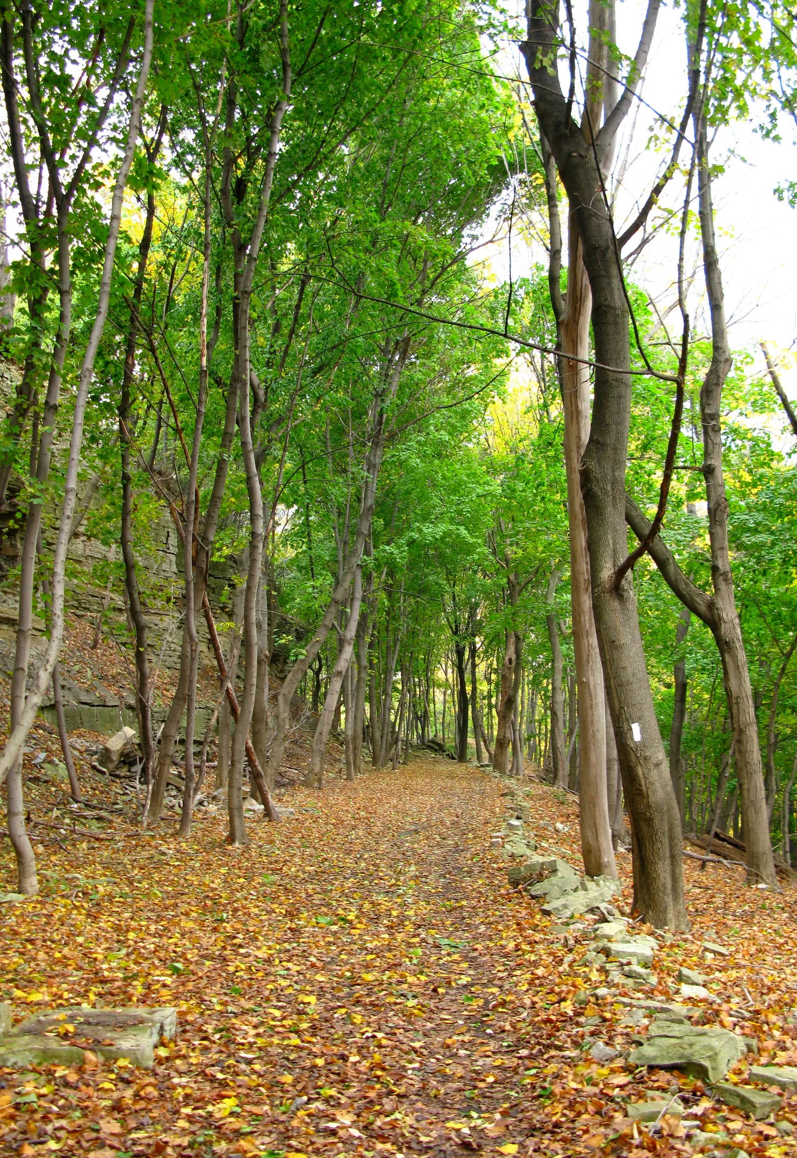 El Bruce Trail en la zona de Hamilton, Ontario.
