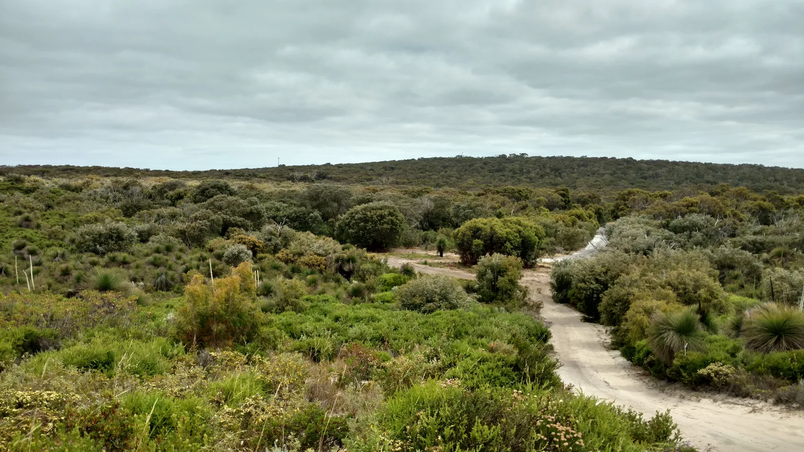 Cape to Cape Track cerca de Margaret River, Australia Occidental