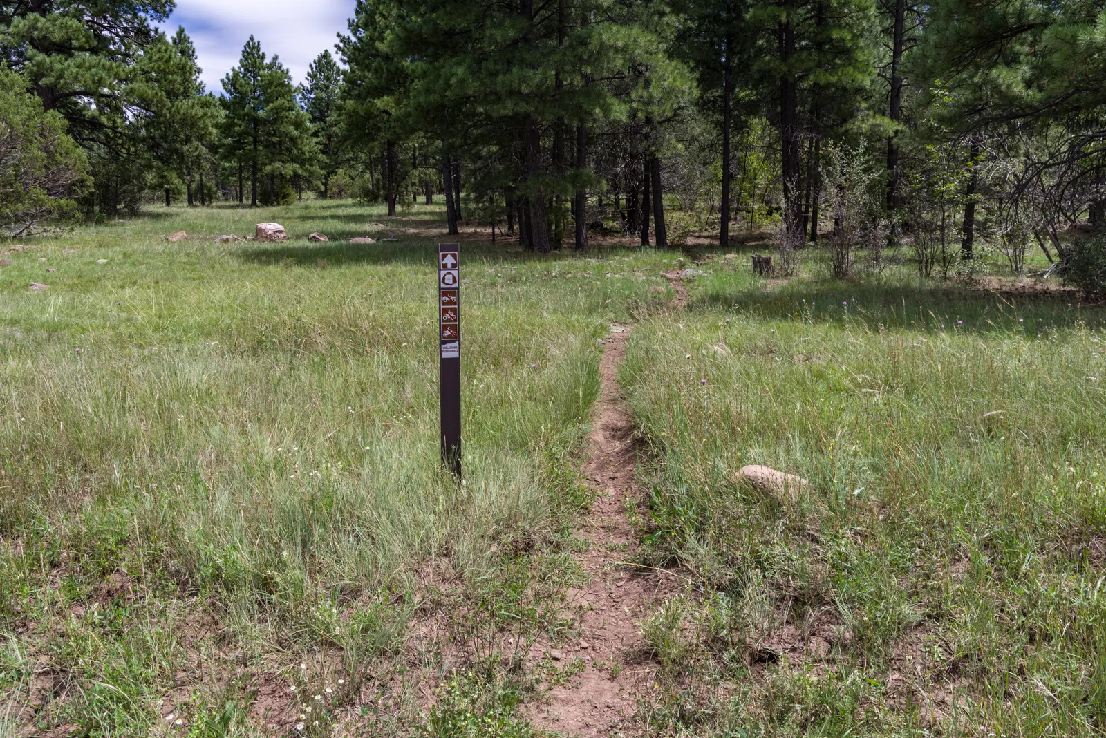 Arizona Trail path and waymarker on the Anderson Mesa passage
