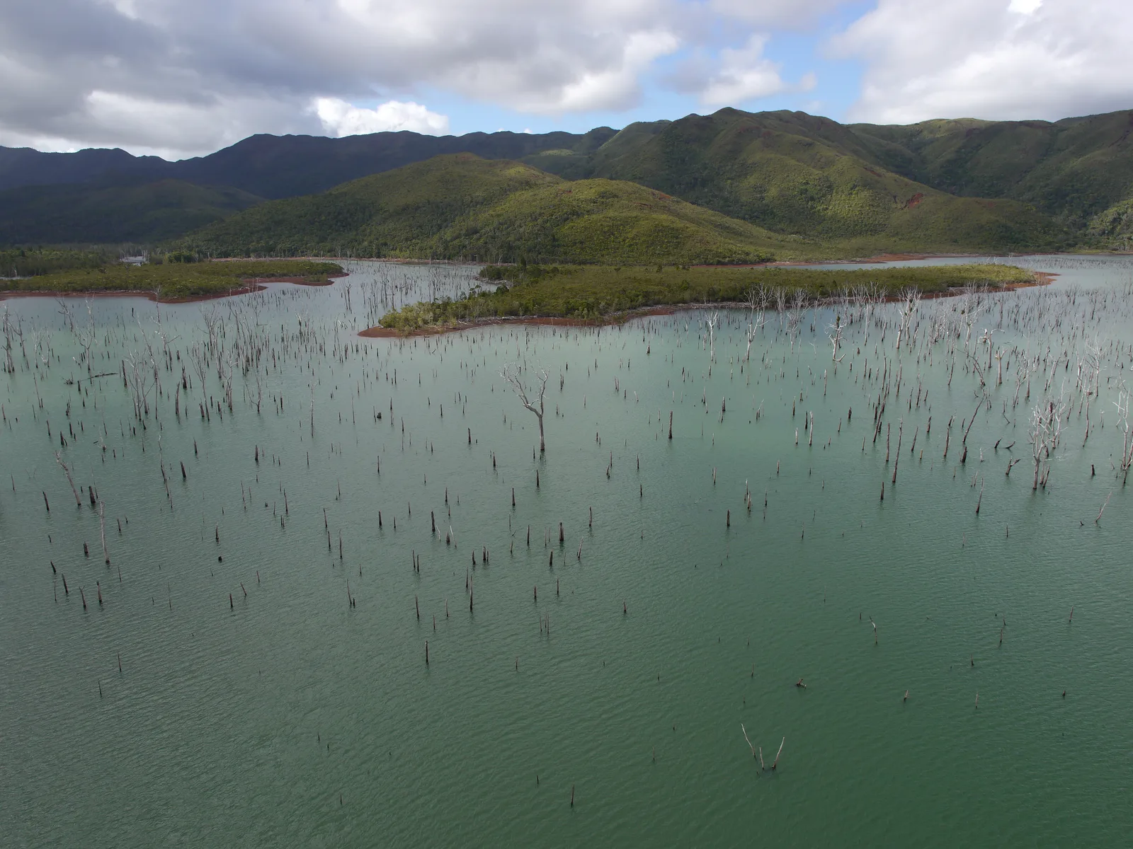 Drowned forest in Lake Yaté, an iconic site beside the GR NC1