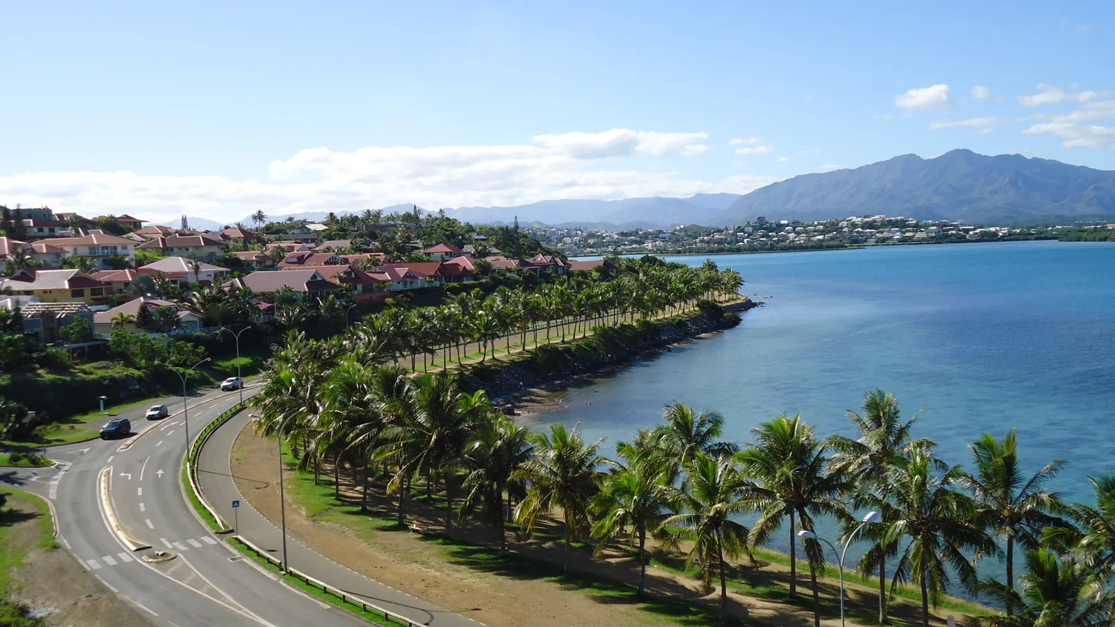Paseo Pierre Vernier bordeado de palmeras, en el recorrido del maratón de Numea