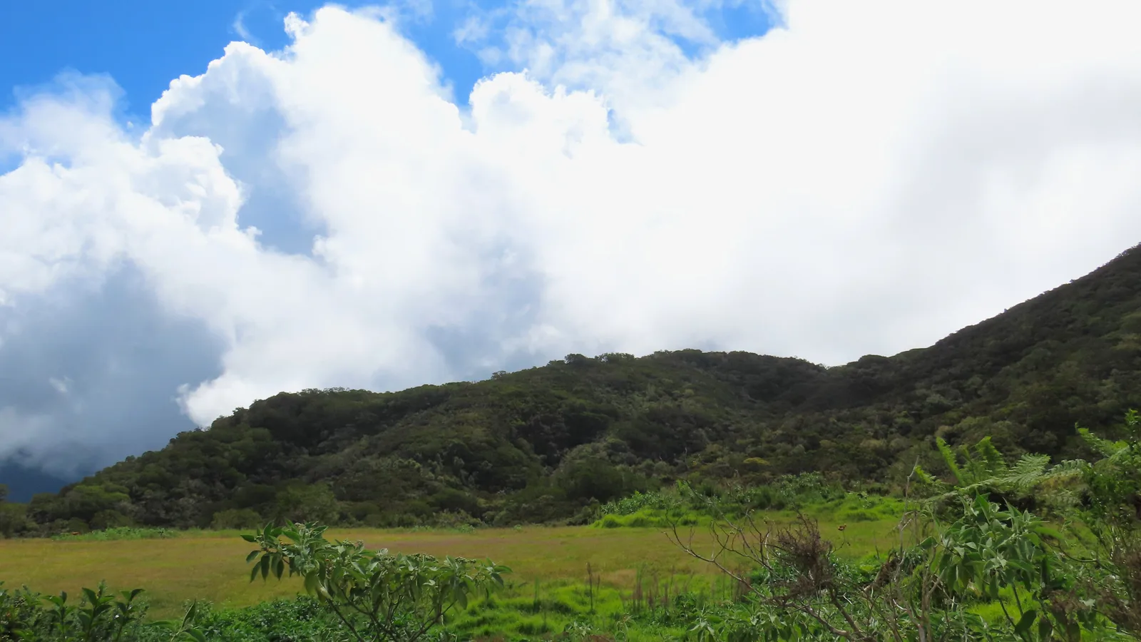 Le Grand Cap vu depuis le GR R2 à La Réunion.