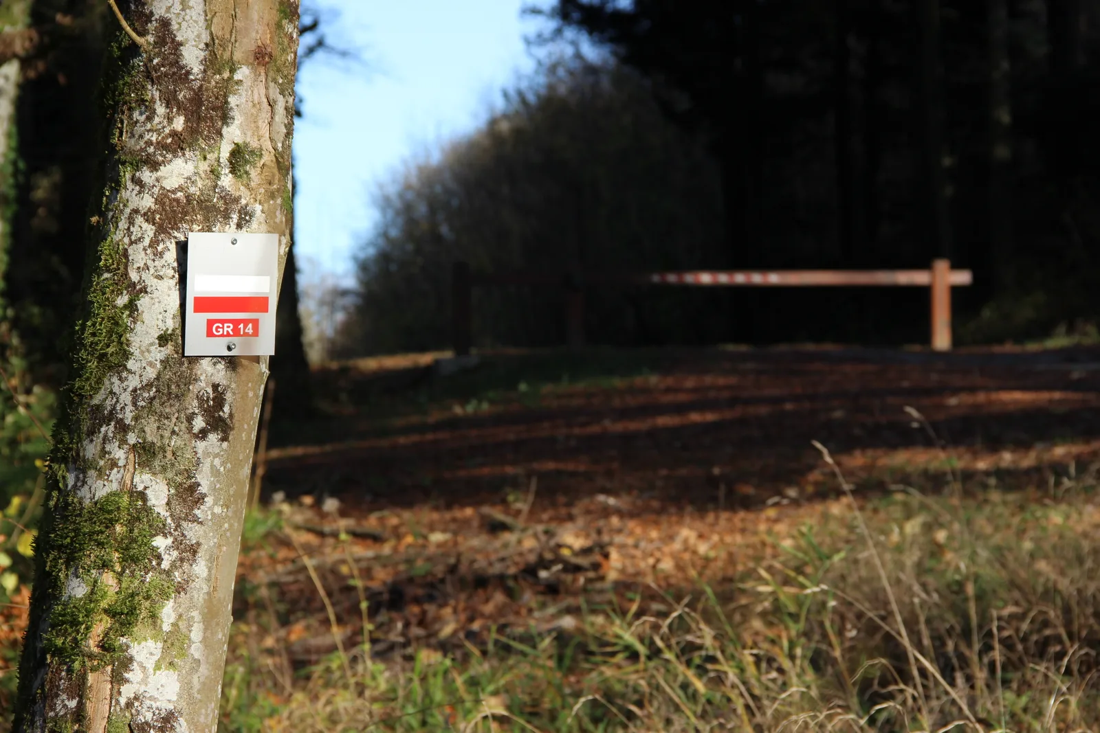 Marca del GR 14 en el bosque de Beaulieu-en-Argonne