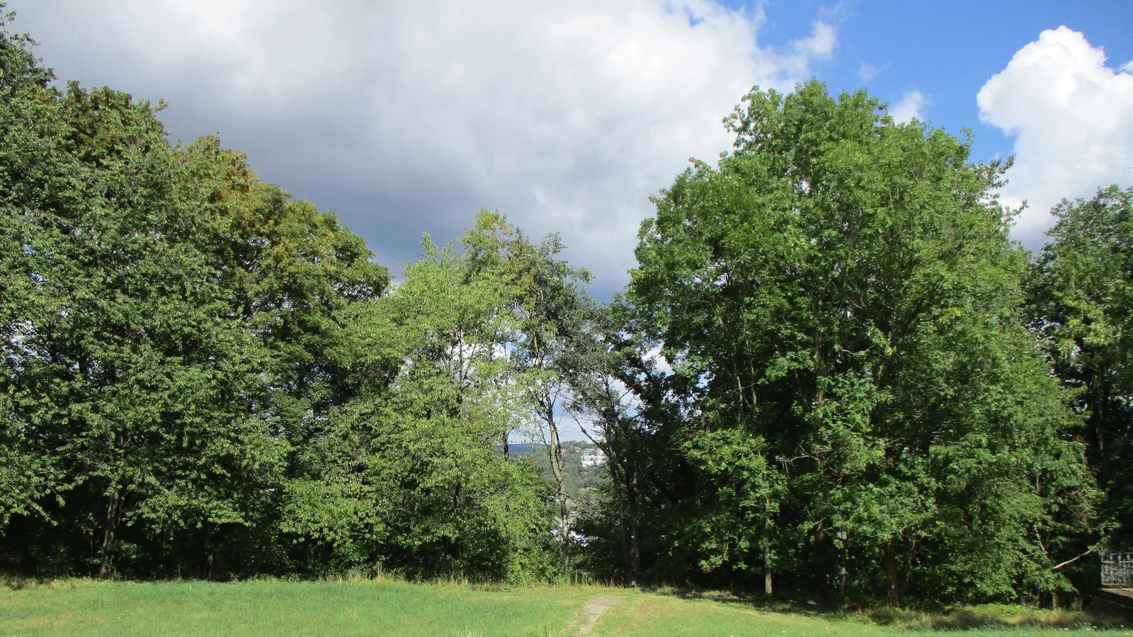 Sentier des hauteurs de Spicheren, au voisinage immédiat du GR 5G.