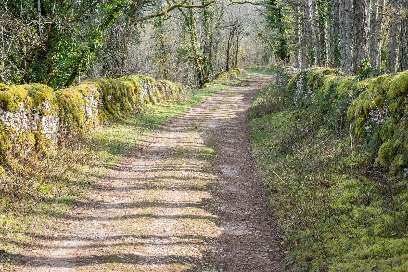 Le GR 65 à Limogne-en-Quercy, sur le chemin de Saint-Jacques