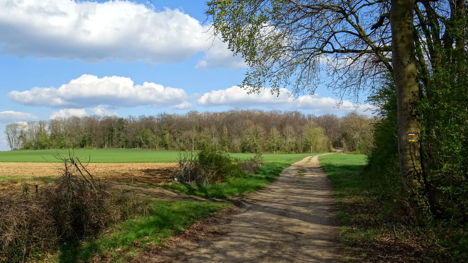 El camino de Beaumont, trazado del GR 655 en Bellefontaine.