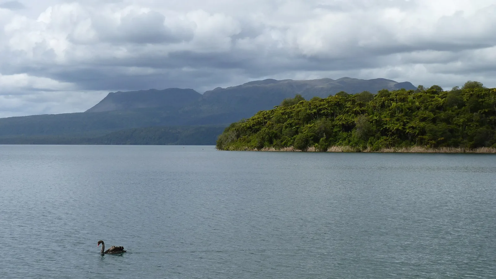 Landscape near Tarawera Ultra-Trail by UTMB — Rotorua