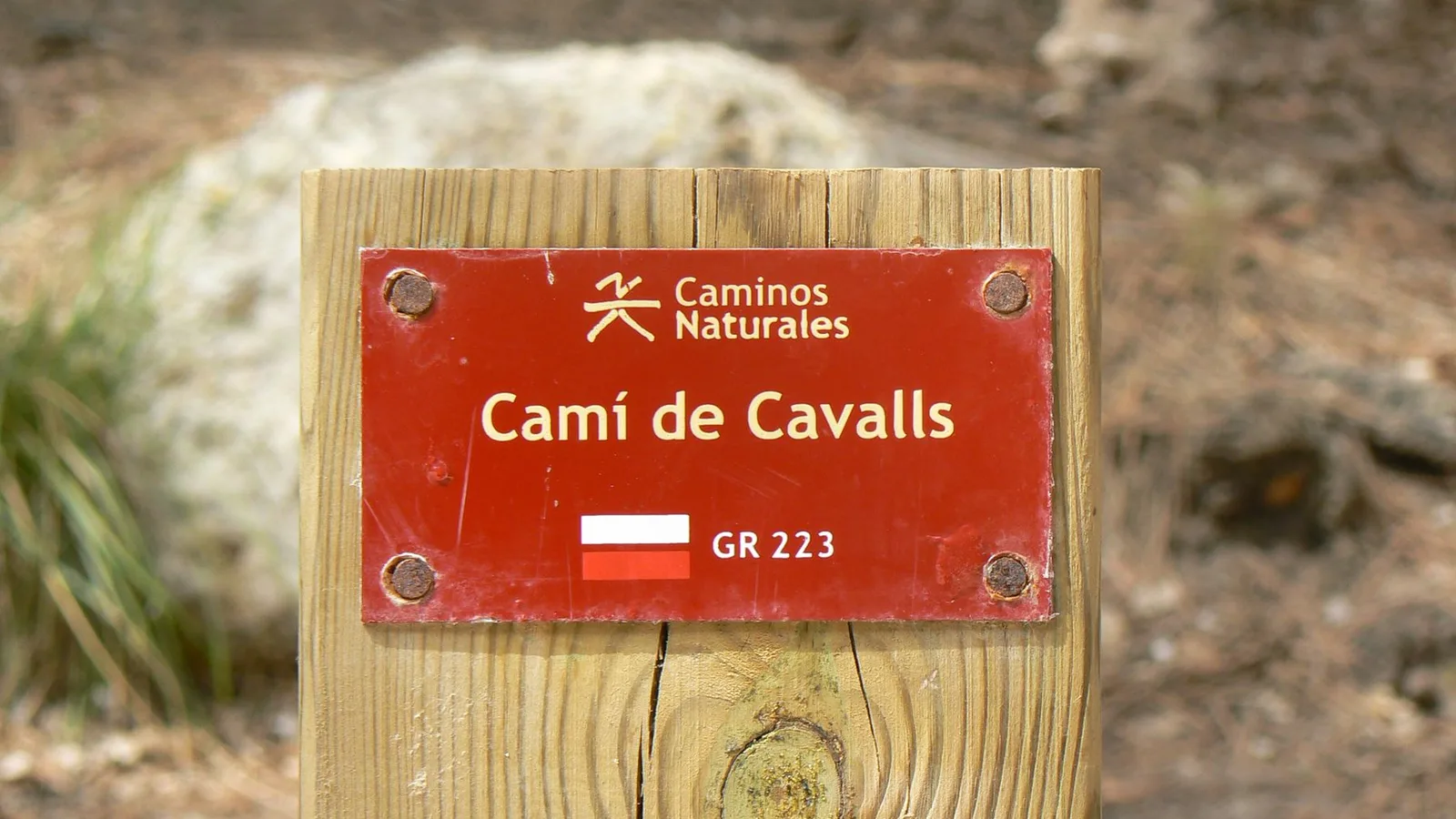 Paysage du territoire de Trail Menorca Camí de Cavalls