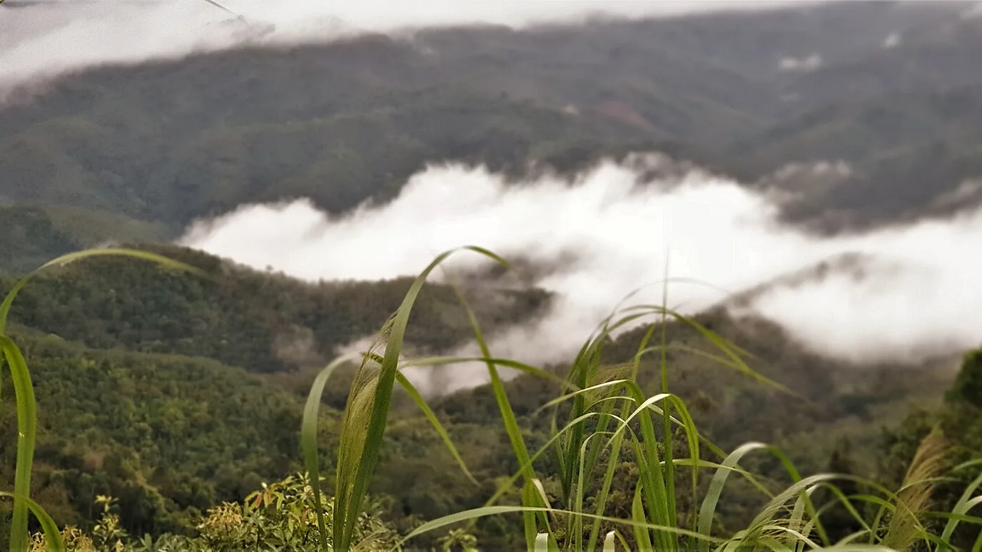 Collines boisées et brume matinale à Betong, dans le sud de la Thaïlande