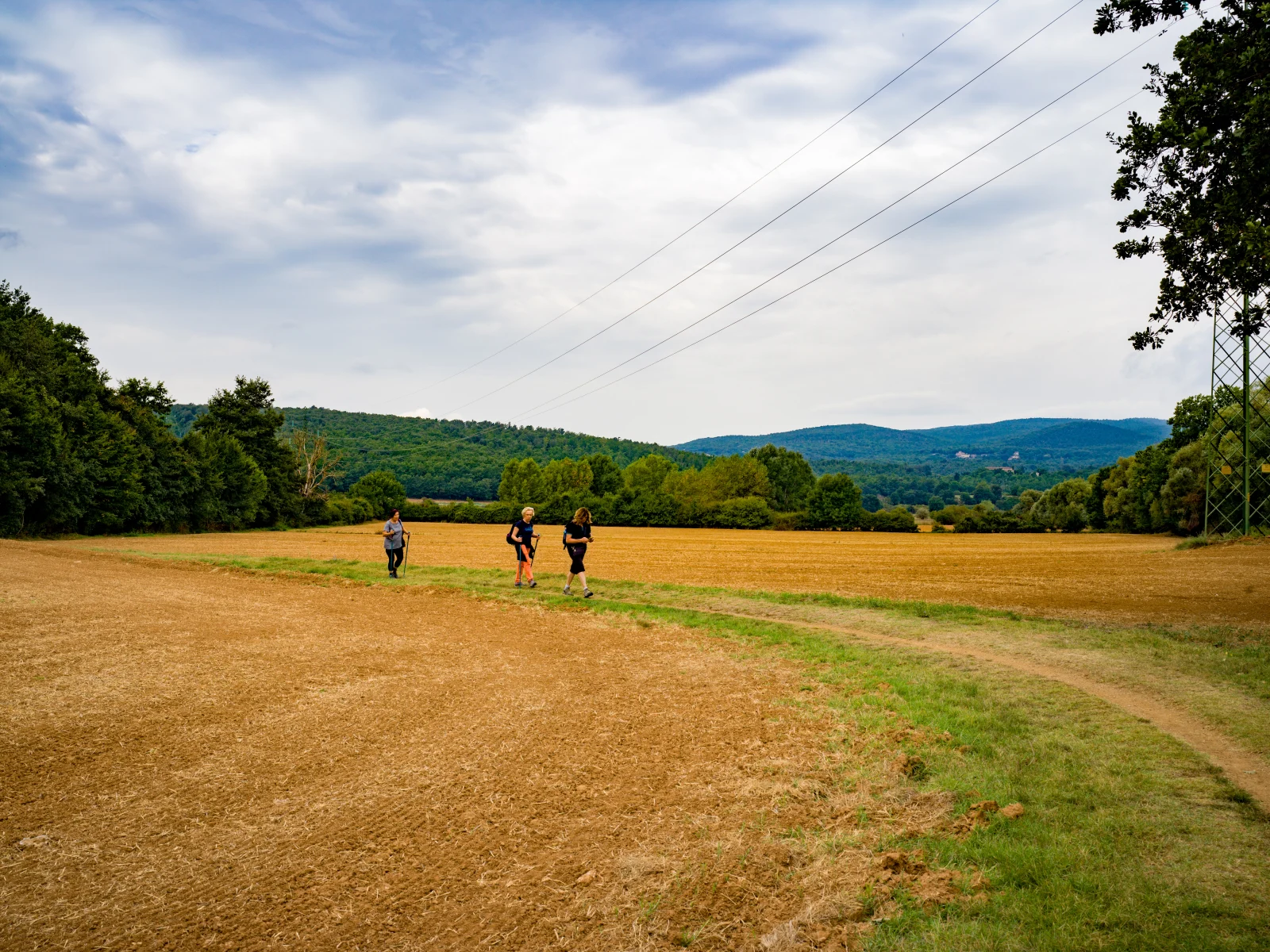 Via Francigena en la campiña toscana cerca de Siena